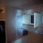 Odor Removal Service in Carson City